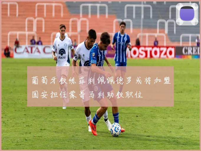 葡萄牙教练菲利佩佩德罗或将加盟国安担任蒙哥马利助教职位