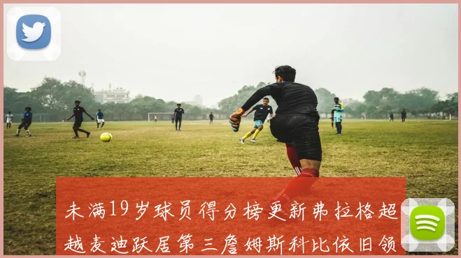 未满19岁球员得分榜更新弗拉格超越麦迪跃居第三詹姆斯科比依旧领跑