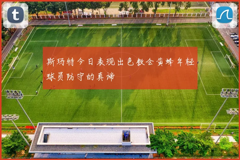 斯玛特今日表现出色教会黄蜂年轻球员防守的真谛