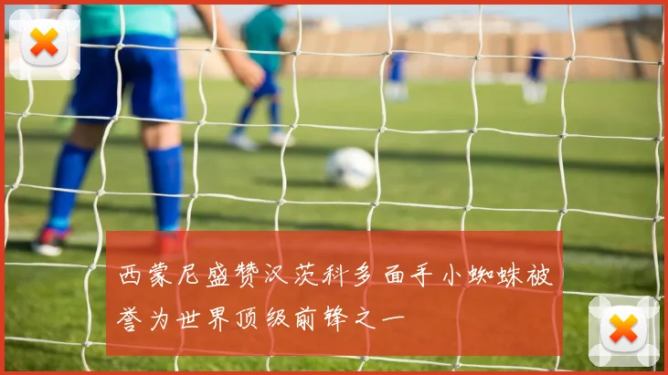 西蒙尼盛赞汉茨科多面手小蜘蛛被誉为世界顶级前锋之一