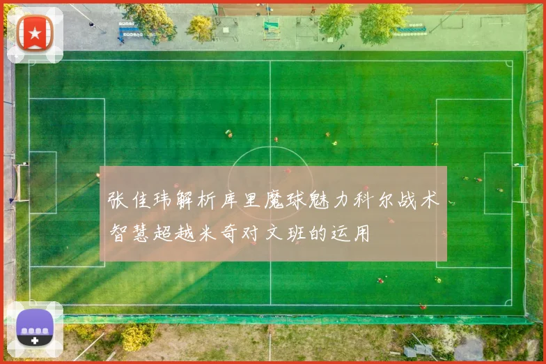 张佳玮解析库里魔球魅力科尔战术智慧超越米奇对文班的运用